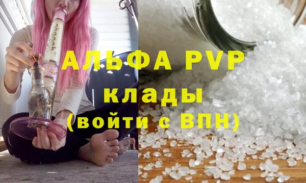 спиды Сафоново